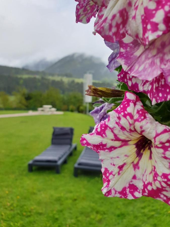 Vive Diem Haus im Ennstal Eksteriør bilde